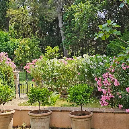 Appartement Manoir De Duke - Piscine, Parc Arbore, Clim, Parking Gratuit